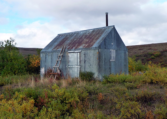 Cottonwood Cabin surrounded by the tundra with corrugated metal as siding.